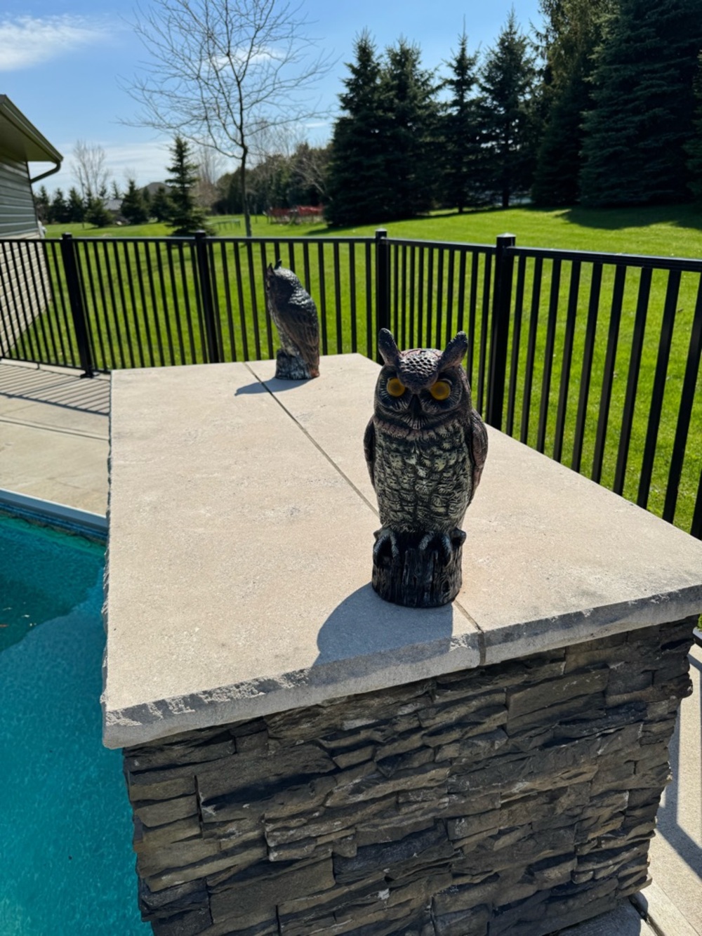 Set of 2 Decorative Resin Owl Sculpture decoy Black with Golden Eyes